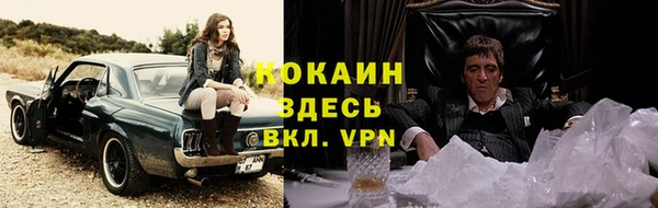 spice Алзамай