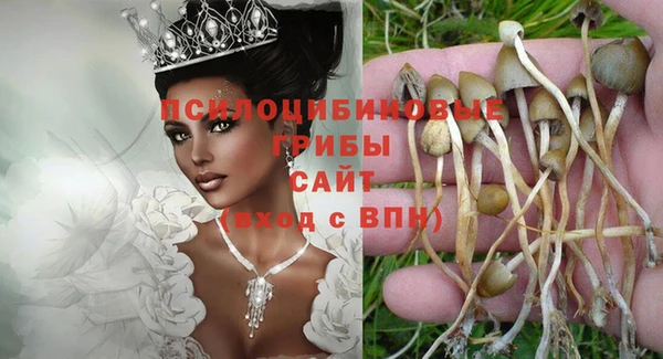spice Алзамай