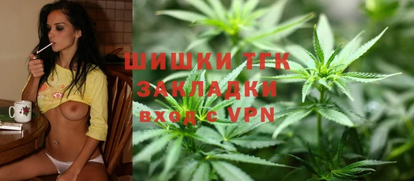 сатива Алексеевка