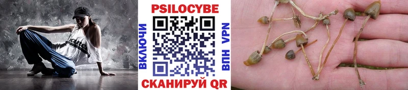 mega ссылка  Геленджик  Галлюциногенные грибы Psilocybine cubensis  как найти наркотики 